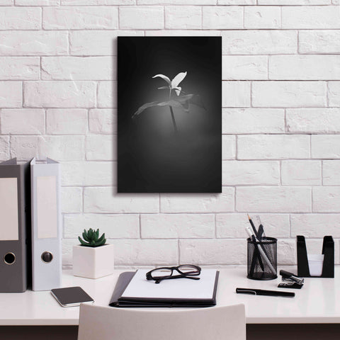 Image of 'Trillium Pastel 1 B&W' by Thomas Haney, Giclee Canvas Wall Art,12 x 18