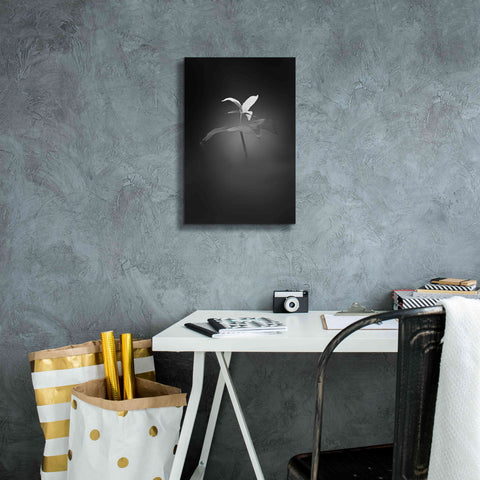 Image of 'Trillium Pastel 1 B&W' by Thomas Haney, Giclee Canvas Wall Art,12 x 18