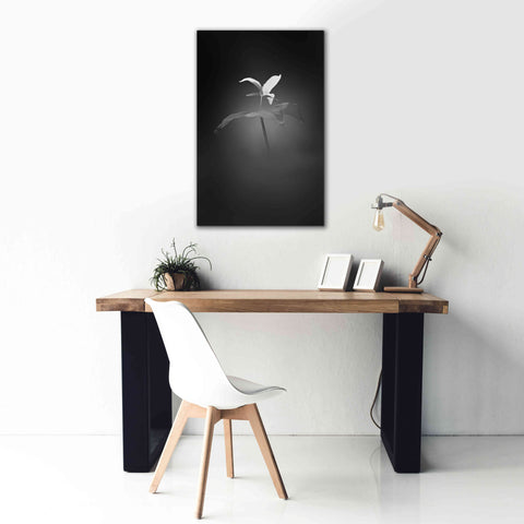 Image of 'Trillium Pastel 1 B&W' by Thomas Haney, Giclee Canvas Wall Art,26 x 40