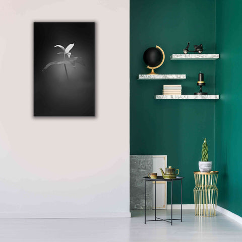 Image of 'Trillium Pastel 1 B&W' by Thomas Haney, Giclee Canvas Wall Art,26 x 40