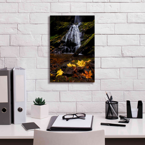Image of 'Waterfall Maple Leaves' by Thomas Haney, Giclee Canvas Wall Art,12 x 18