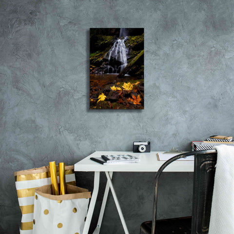 Image of 'Waterfall Maple Leaves' by Thomas Haney, Giclee Canvas Wall Art,12 x 18