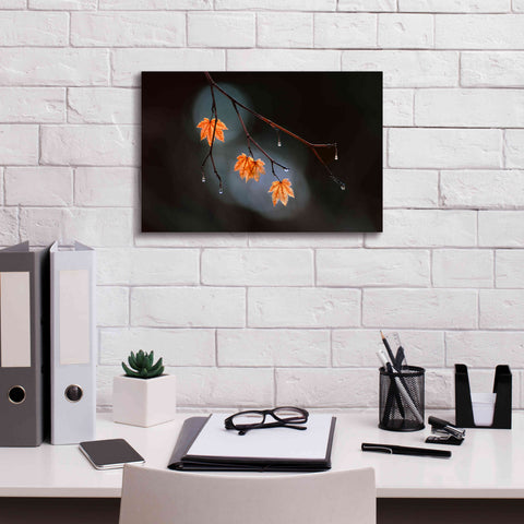 Image of 'Wet Fall' by Thomas Haney, Giclee Canvas Wall Art,18 x 12