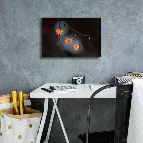 Image of 'Wet Fall' by Thomas Haney, Giclee Canvas Wall Art,18 x 12