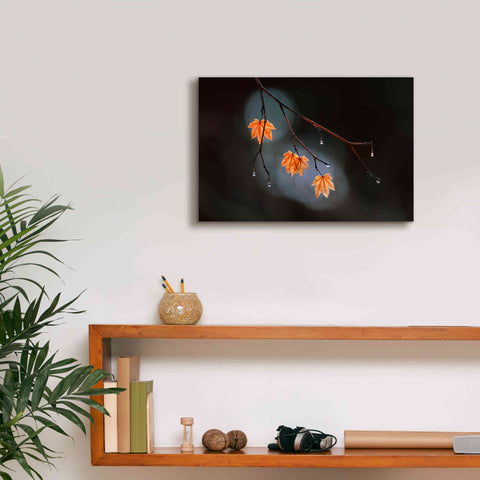 Image of 'Wet Fall' by Thomas Haney, Giclee Canvas Wall Art,18 x 12