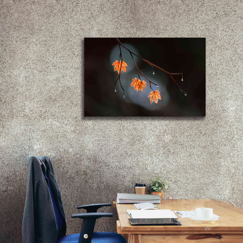 Image of 'Wet Fall' by Thomas Haney, Giclee Canvas Wall Art,40 x 26