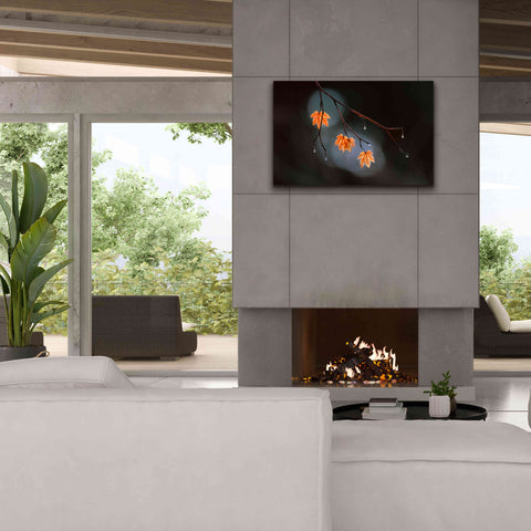 Image of 'Wet Fall' by Thomas Haney, Giclee Canvas Wall Art,40 x 26