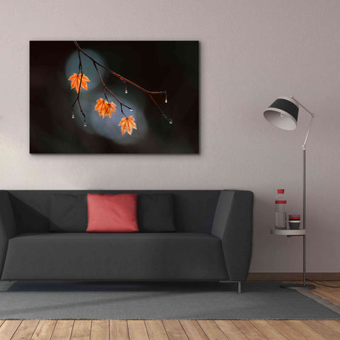 Image of 'Wet Fall' by Thomas Haney, Giclee Canvas Wall Art,60 x 40