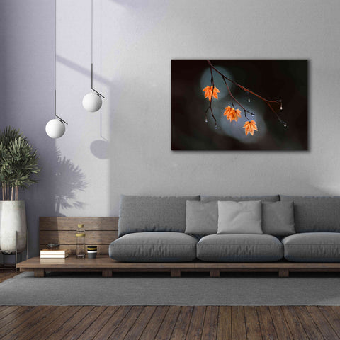 Image of 'Wet Fall' by Thomas Haney, Giclee Canvas Wall Art,60 x 40