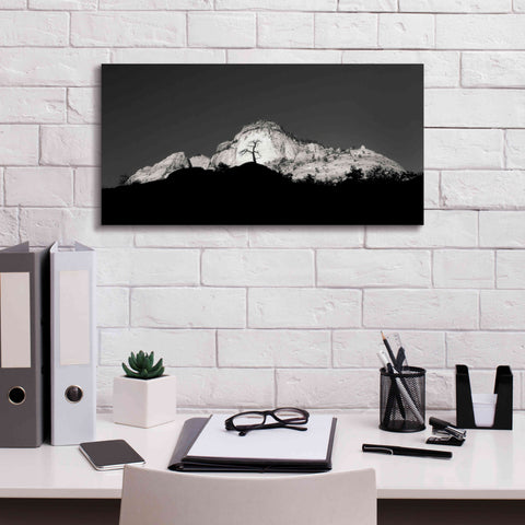 Image of 'Zion Tree Silhouette' by Thomas Haney, Giclee Canvas Wall Art,24 x 12