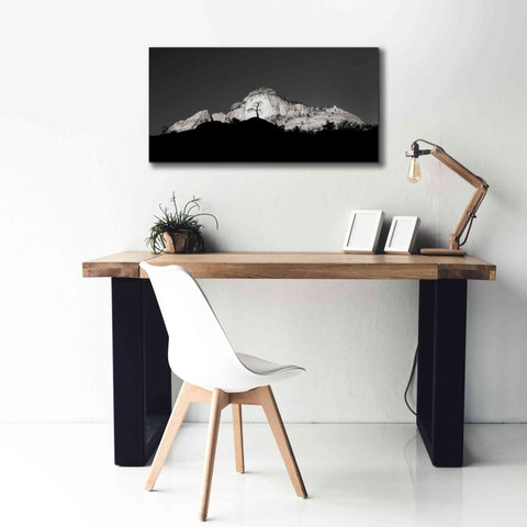 Image of 'Zion Tree Silhouette' by Thomas Haney, Giclee Canvas Wall Art,40 x 20
