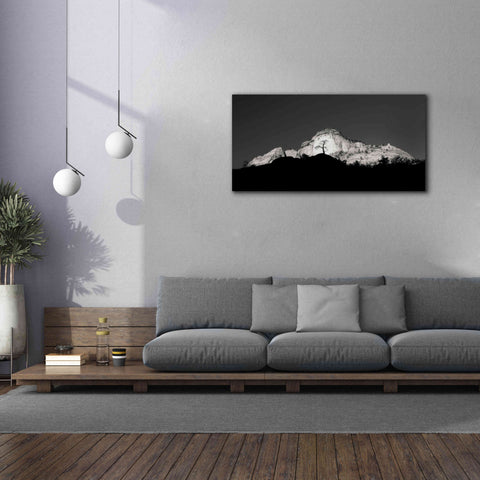 Image of 'Zion Tree Silhouette' by Thomas Haney, Giclee Canvas Wall Art,60 x 30