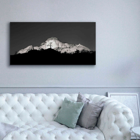 Image of 'Zion Tree Silhouette' by Thomas Haney, Giclee Canvas Wall Art,60 x 30