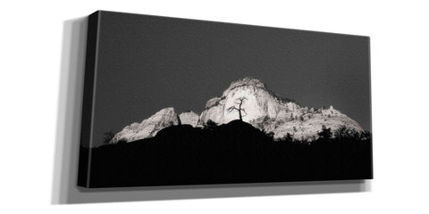 Image of 'Zion Tree Silhouette' by Thomas Haney, Giclee Canvas Wall Art