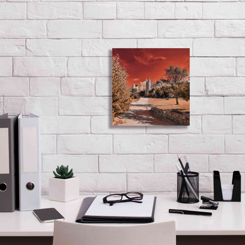 Image of 'IRadiation' by Sebastien Lory, Giclee Canvas Wall Art,12 x 12