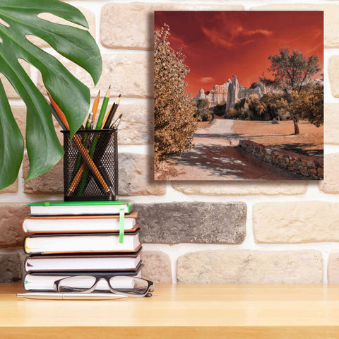 Image of 'IRadiation' by Sebastien Lory, Giclee Canvas Wall Art,12 x 12