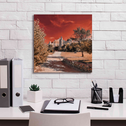 Image of 'IRadiation' by Sebastien Lory, Giclee Canvas Wall Art,18 x 18