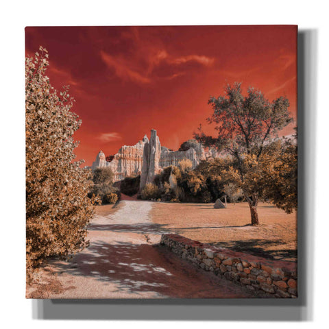 Image of 'IRadiation' by Sebastien Lory, Giclee Canvas Wall Art