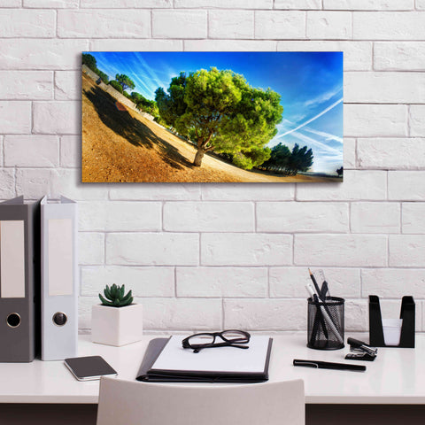 Image of 'Summer Tree' by Sebastien Lory, Giclee Canvas Wall Art,24 x 12