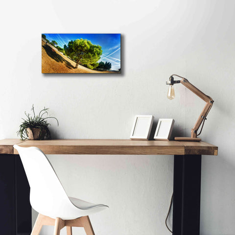 Image of 'Summer Tree' by Sebastien Lory, Giclee Canvas Wall Art,24 x 12