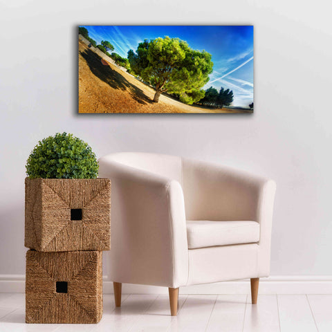 Image of 'Summer Tree' by Sebastien Lory, Giclee Canvas Wall Art,40 x 20