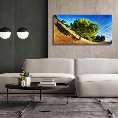Image of 'Summer Tree' by Sebastien Lory, Giclee Canvas Wall Art,60 x 30