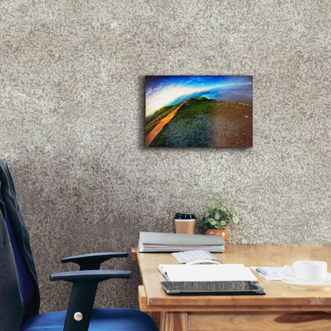 Image of 'Cap Bear' by Sebastien Lory, Giclee Canvas Wall Art,18 x 12