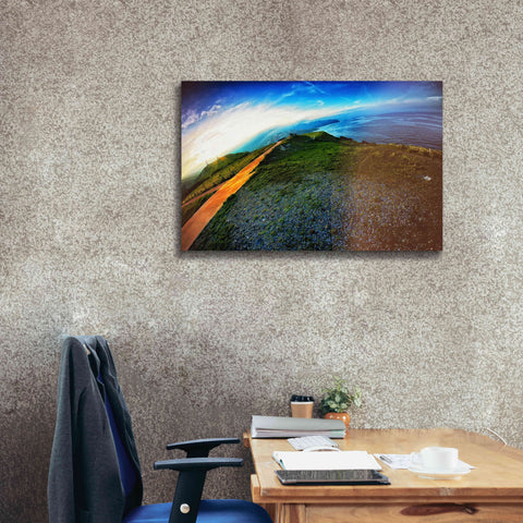 Image of 'Cap Bear' by Sebastien Lory, Giclee Canvas Wall Art,40 x 26