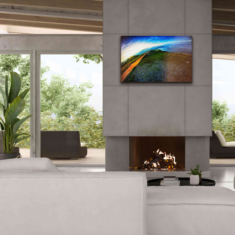 Image of 'Cap Bear' by Sebastien Lory, Giclee Canvas Wall Art,40 x 26