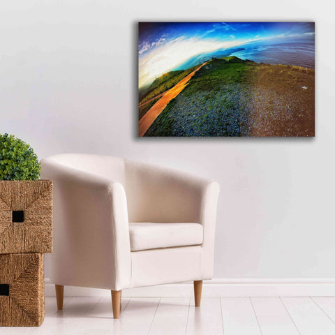 Image of 'Cap Bear' by Sebastien Lory, Giclee Canvas Wall Art,40 x 26
