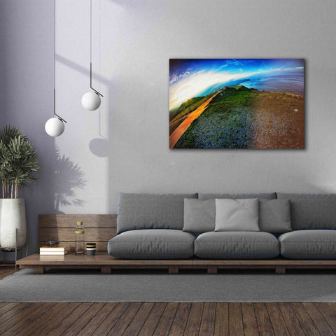 Image of 'Cap Bear' by Sebastien Lory, Giclee Canvas Wall Art,60 x 40