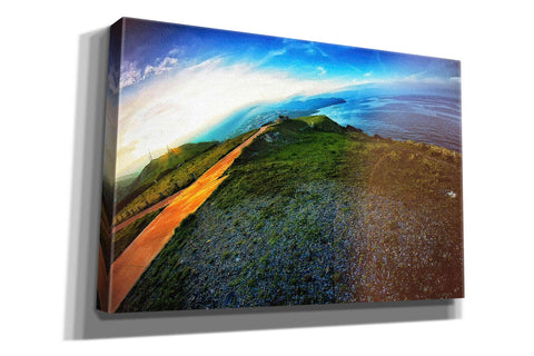 Image of 'Cap Bear' by Sebastien Lory, Giclee Canvas Wall Art