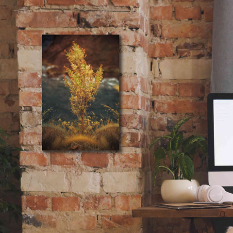 Image of 'View Point' by Sebastien Lory, Giclee Canvas Wall Art,12 x 18