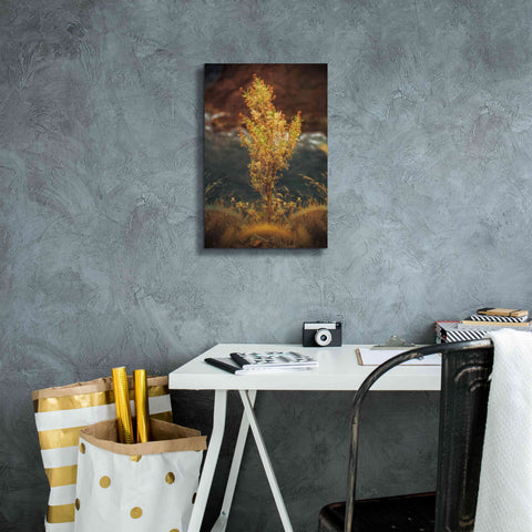 Image of 'View Point' by Sebastien Lory, Giclee Canvas Wall Art,12 x 18