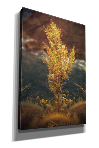 Image of 'View Point' by Sebastien Lory, Giclee Canvas Wall Art