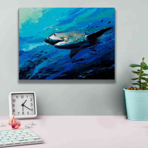 Image of 'The Mighty Bull Shark' by Jace D McTier, Giclee Canvas Wall Art,16 x 12