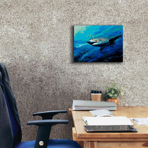 Image of 'The Mighty Bull Shark' by Jace D McTier, Giclee Canvas Wall Art,16 x 12
