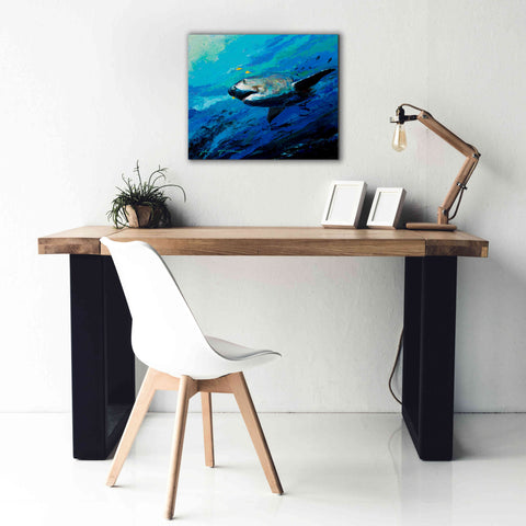 Image of 'The Mighty Bull Shark' by Jace D McTier, Giclee Canvas Wall Art,24 x 20