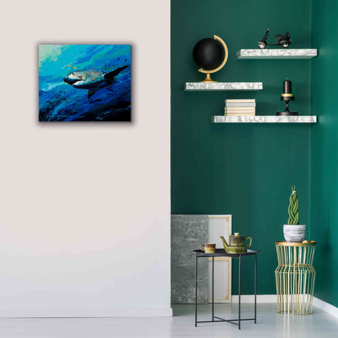 Image of 'The Mighty Bull Shark' by Jace D McTier, Giclee Canvas Wall Art,24 x 20
