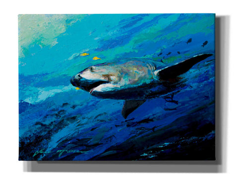 Image of 'The Mighty Bull Shark' by Jace D McTier, Giclee Canvas Wall Art
