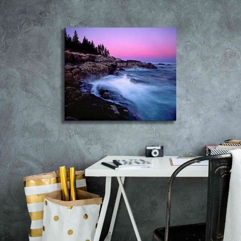 Image of 'Acadia Dusk' by Mike Jones, Giclee Canvas Wall Art,24 x 20