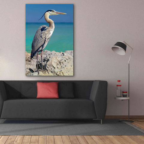 Image of 'Blue Heron' by Mike Jones, Giclee Canvas Wall Art,40 x 60