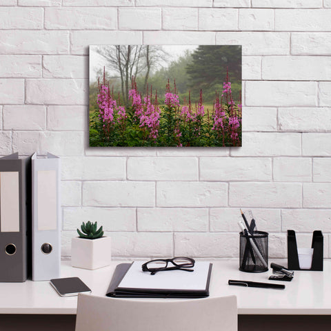 Image of 'Campobello Lupine' by Mike Jones, Giclee Canvas Wall Art,18 x 12