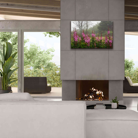 Image of 'Campobello Lupine' by Mike Jones, Giclee Canvas Wall Art,40 x 26