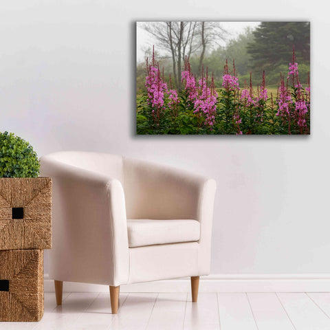 Image of 'Campobello Lupine' by Mike Jones, Giclee Canvas Wall Art,40 x 26