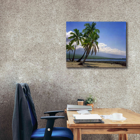 Image of 'City Of Refuge' by Mike Jones, Giclee Canvas Wall Art,34 x 26