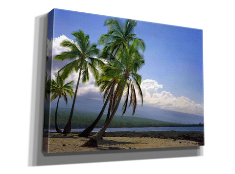 Image of 'City Of Refuge' by Mike Jones, Giclee Canvas Wall Art