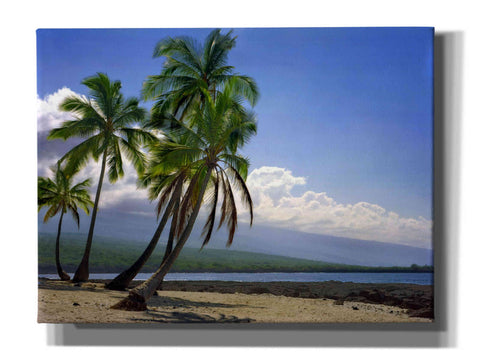 Image of 'City Of Refuge' by Mike Jones, Giclee Canvas Wall Art