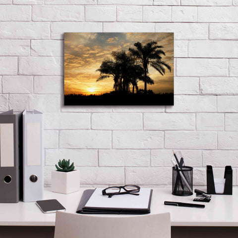 Image of 'Everglades Sunrise' by Mike Jones, Giclee Canvas Wall Art,18 x 12