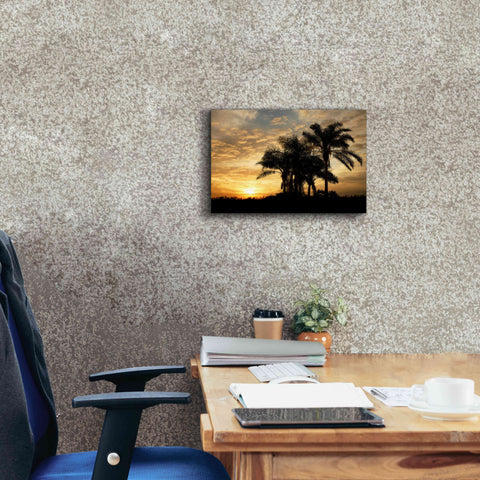 Image of 'Everglades Sunrise' by Mike Jones, Giclee Canvas Wall Art,18 x 12